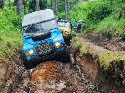 rebound galeri (10) rebound galeri (10)